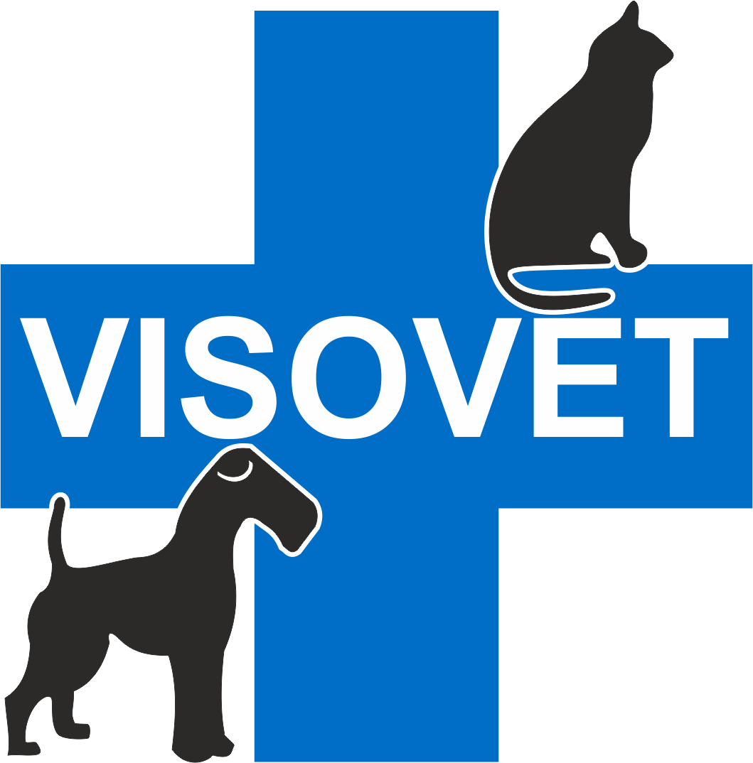 Clínica veterinaria en Sevilla